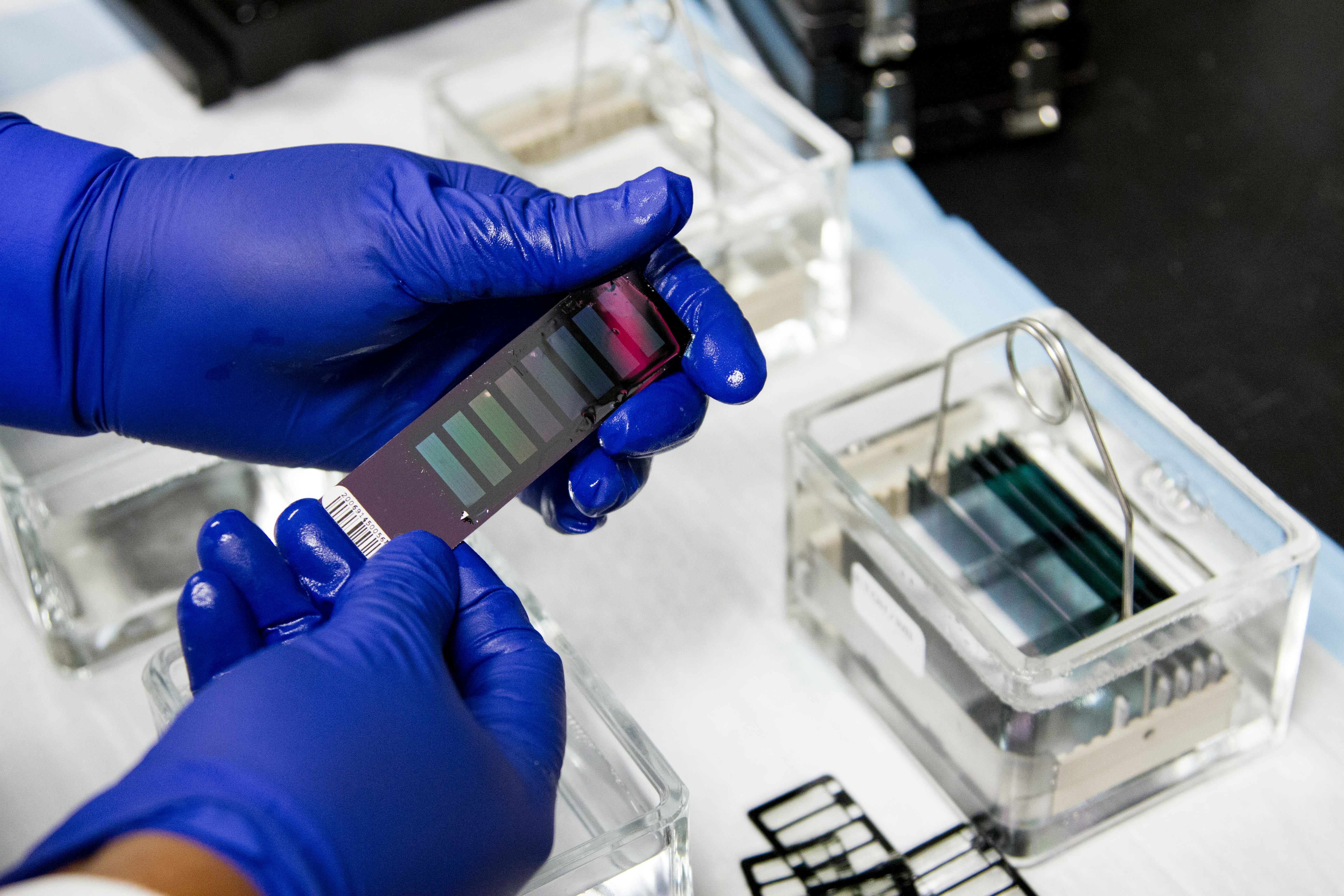 Laboratory Image